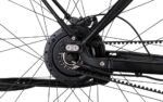 Rabeneick TX-E Singlespeed – Bild 3