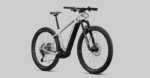 Radon Jealous Hybrid 10.0 – Bild 9