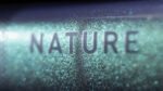 Cube Nature EXC Lady verde´n´black – Bild 3