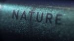 Cube Nature EXC verde´n´black – Bild 3
