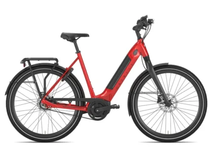 Gazelle Ultimate C8+ HMB Belt