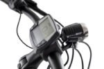 Gazelle Ultimate C8+ HMB Belt – Bild 3