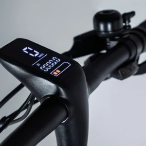 2GO Berlin Bicycle Matte Gray